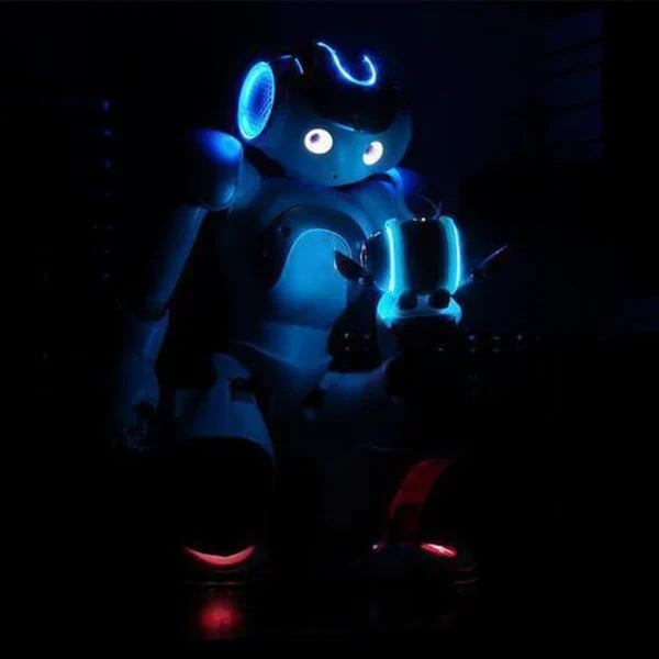 🎁Gesture Sensing Smart Robot