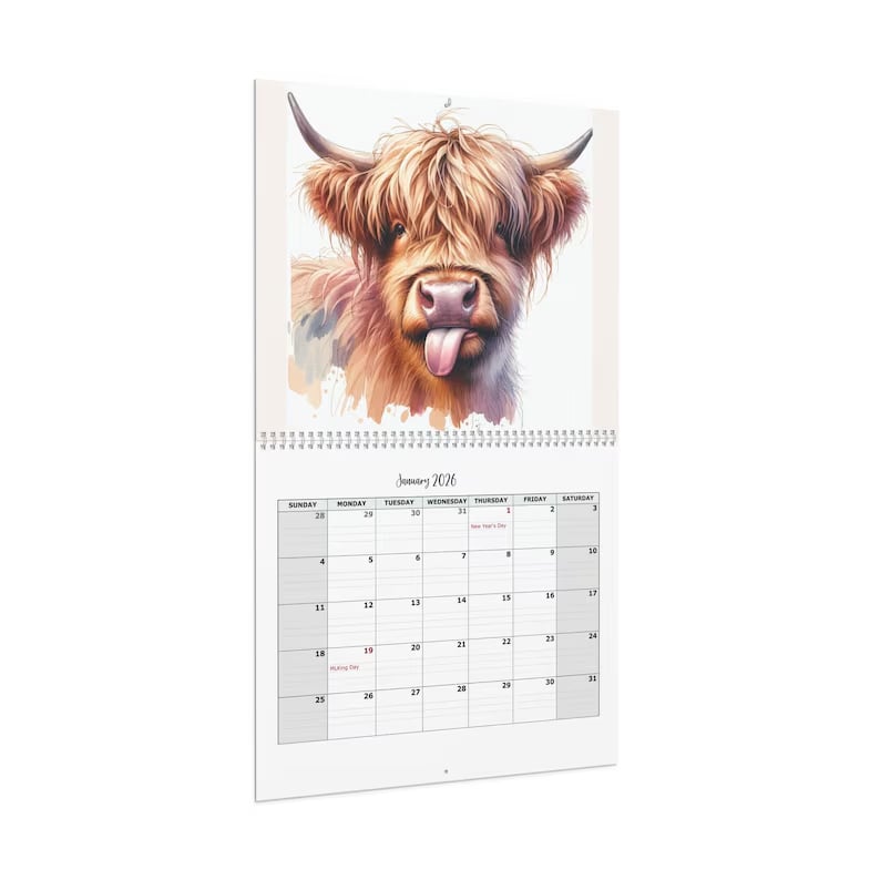 🏆Flash Sale⚡ 10K+ SOLD! Almost Gone-🐮Highland Cow Calendar 2026 📅