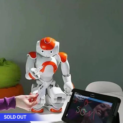 🎁Gesture Sensing Smart Robot