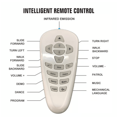 🎁Gesture Sensing Smart Robot