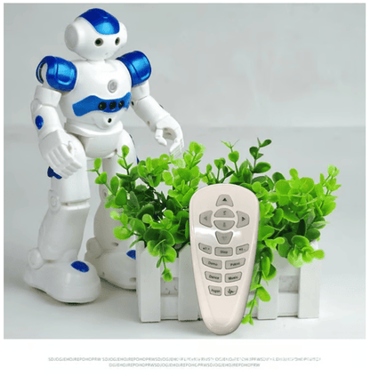 🎁Gesture Sensing Smart Robot