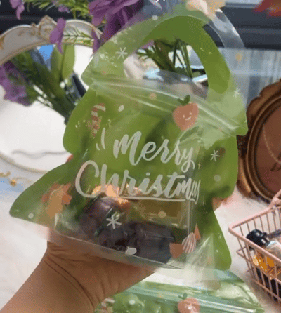 🎄Christmas Treat Bags. Kids Xmas Sealable Bags With Handle 10 PCS❄️