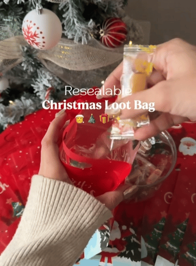 🎄Christmas Treat Bags. Kids Xmas Sealable Bags With Handle 10 PCS❄️