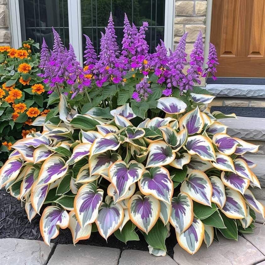 🌿Rare Hosta Seeds for Lush Shade Gardens💖🔥1 Pack-100 Seeds